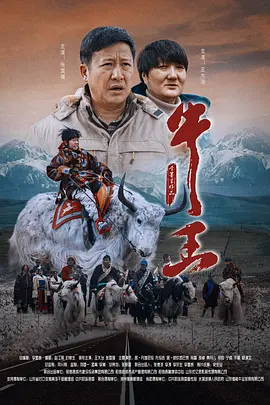 国产不卡高清在线观看视频